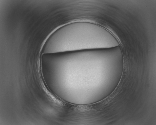 X0000084541092200702230902