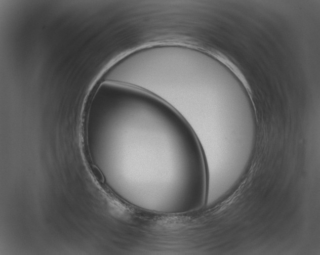 X0000084541093200702230902