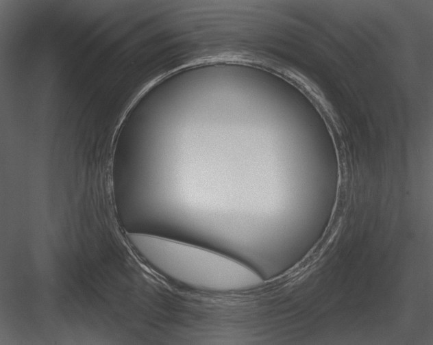 X0000084541097200702230902