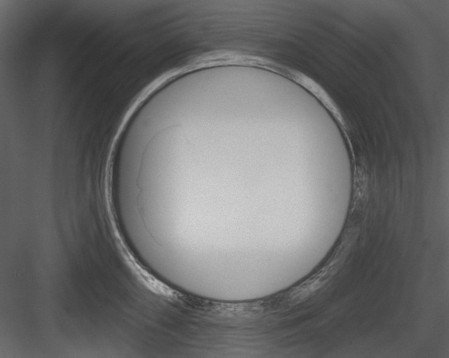 X0000084541098200702230902