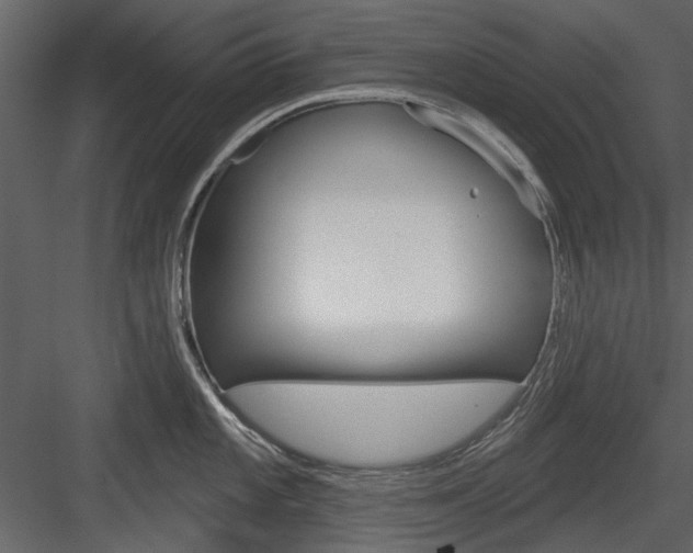 X0000084541101200702230902
