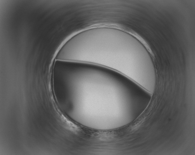 X0000084541102200702230902