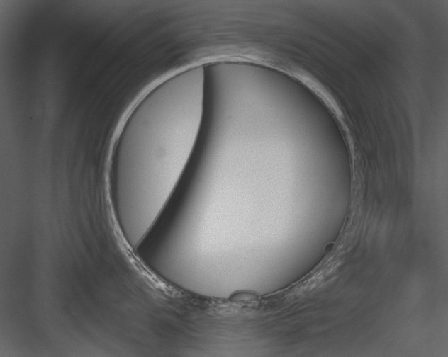 X0000084541104200702230902