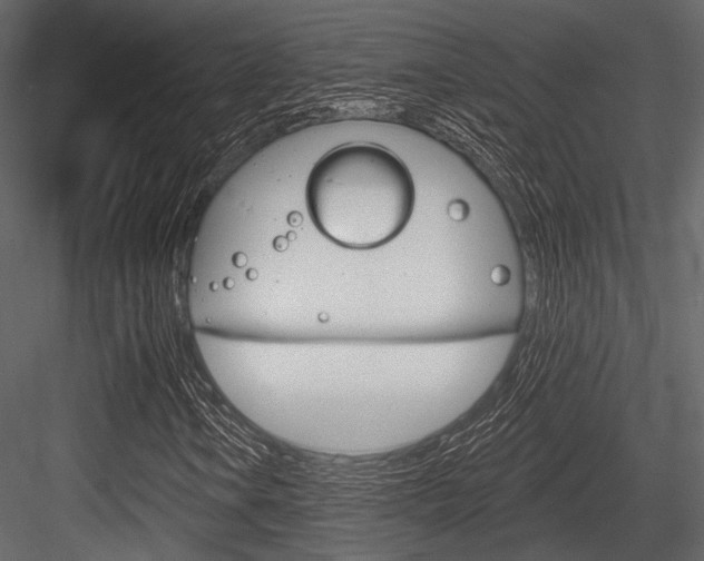 X0000084541106200702230901