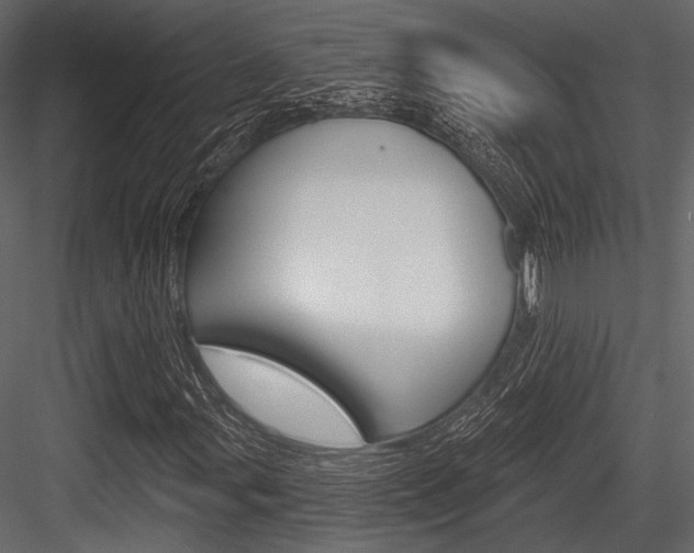 X0000084541107200702230901