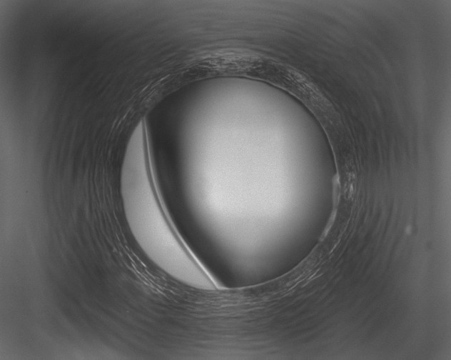 X0000084541108200702230901