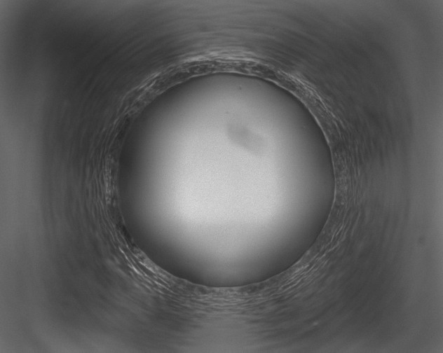 X0000084541110200702230901