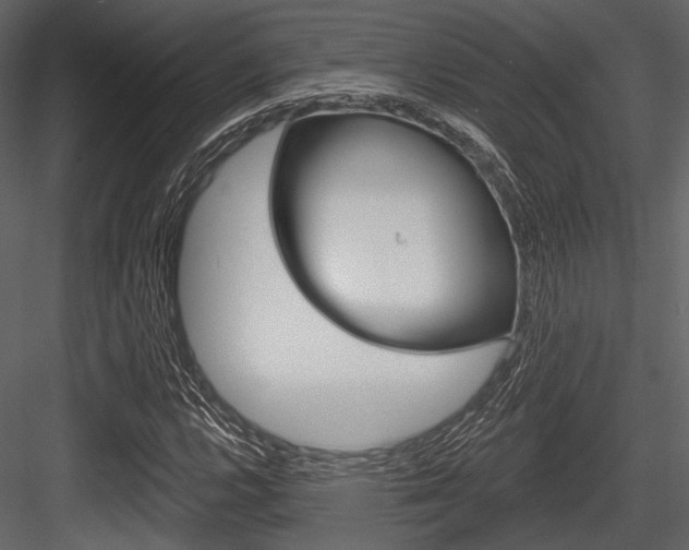 X0000084541112200702230901
