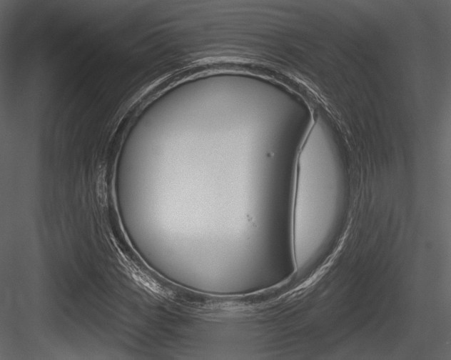 X0000084541113200702230901
