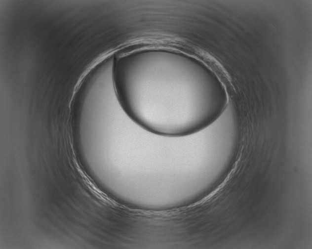X0000084541114200702230901