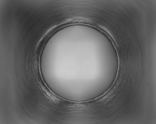 X0000084541115200702230901