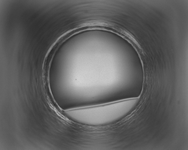 X0000084541116200702230901