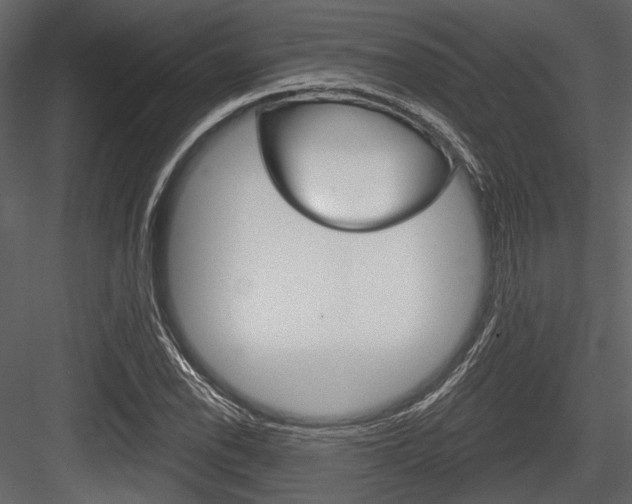 X0000084541118200702230901