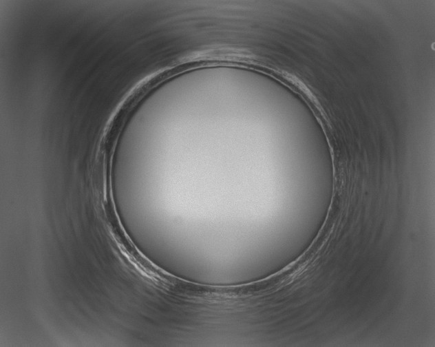 X0000084541123200702230901