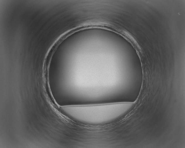 X0000084541124200702230901