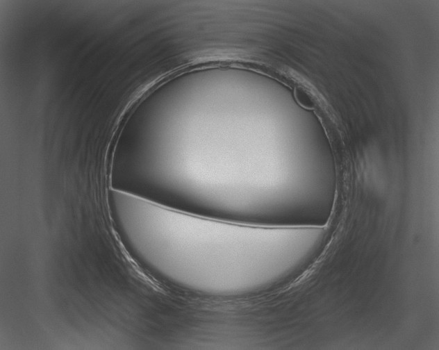 X0000084541129200702230901