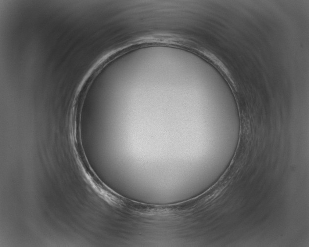 X0000084541131200702230901