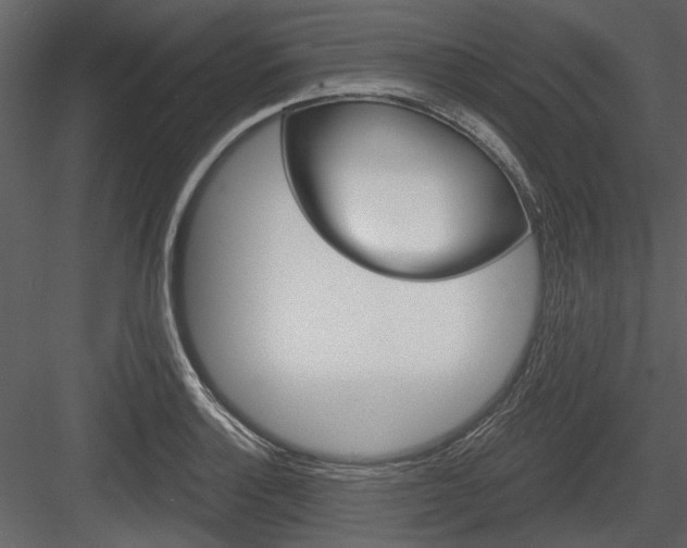 X0000084541132200702230901