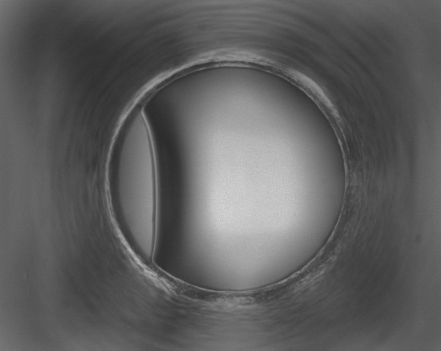 X0000084541133200702230901