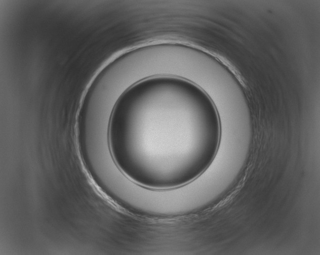 X0000084541134200702230901