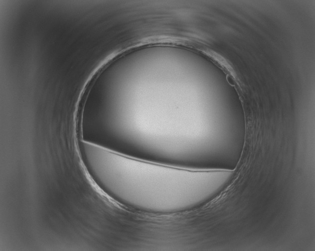 X0000084541135200702230901