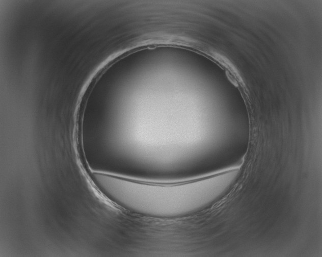 X0000084541136200702230901