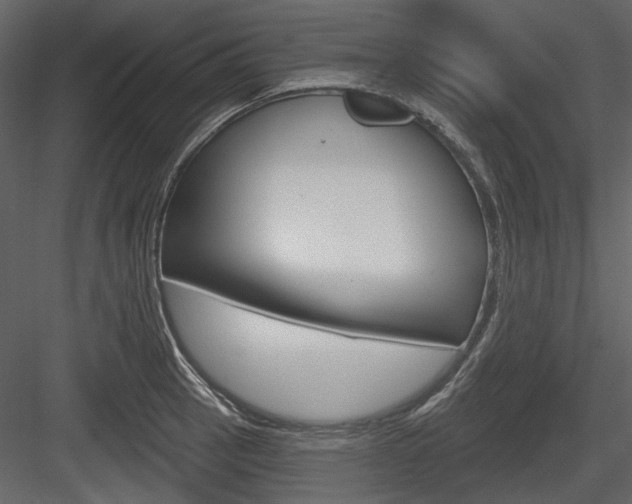 X0000084541137200702230901