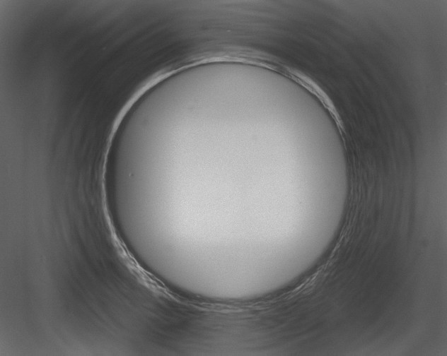 X0000084541138200702230901