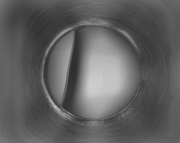 X0000084541139200702230901