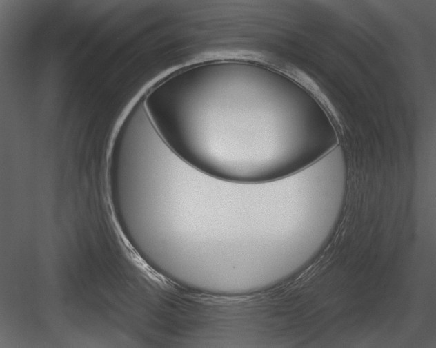 X0000084541140200702230901