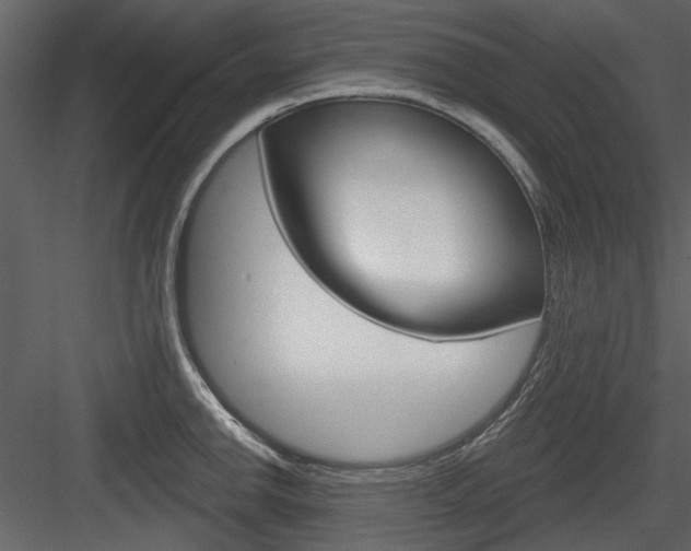 X0000084541142200702230901