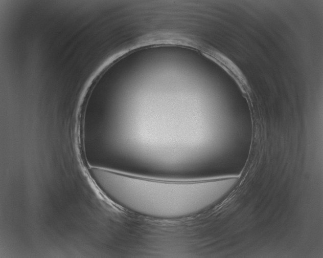 X0000084541144200702230901