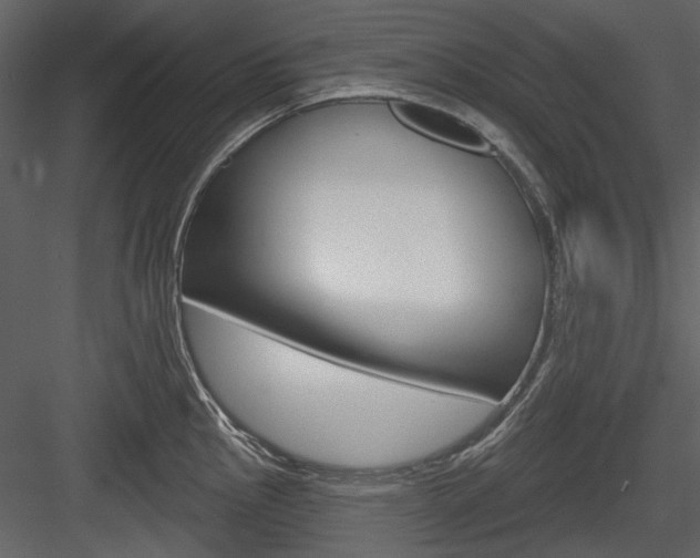 X0000084541145200702230901