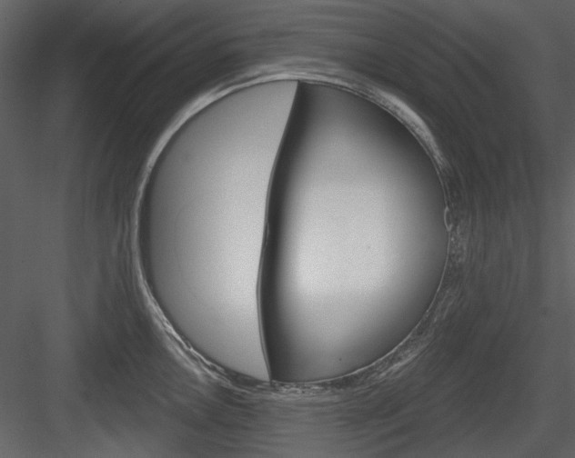 X0000084541146200702230901