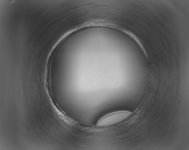 X0000084541147200702230901