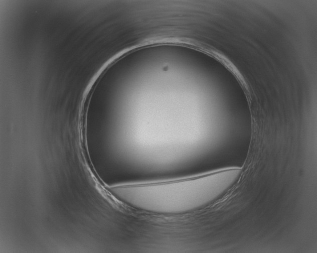 X0000084541148200702230901