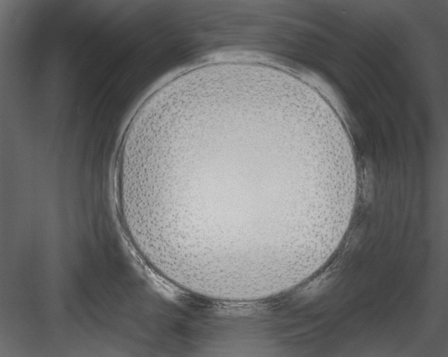 X0000084541150200702230902