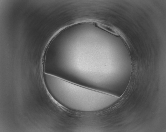 X0000084541151200702230902
