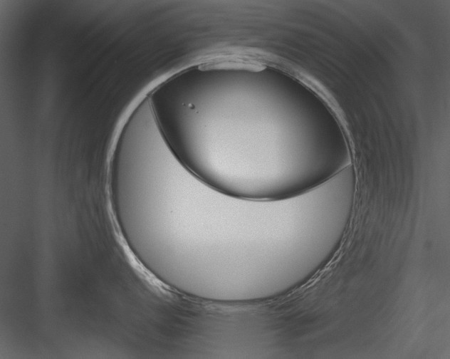 X0000084541152200702230902