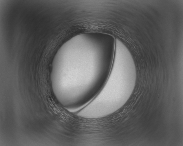 X0000084541153200702230901