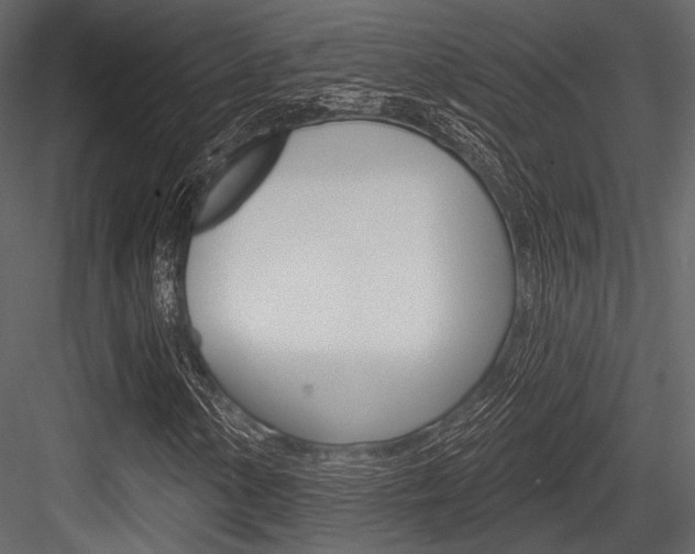 X0000084541154200702230901