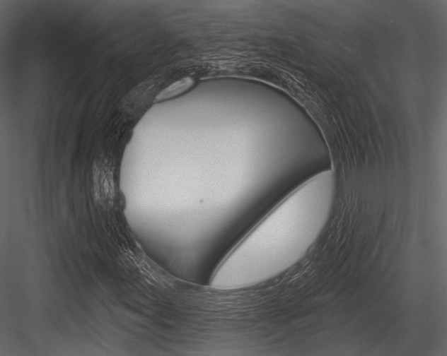 X0000084541155200702230901