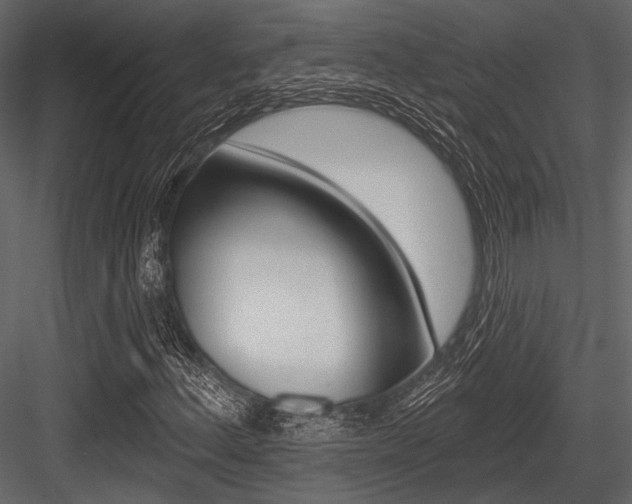 X0000084541156200702230901