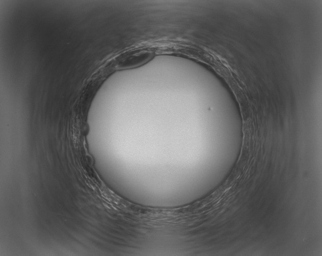 X0000084541158200702230901