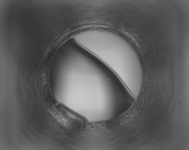 X0000084541159200702230901