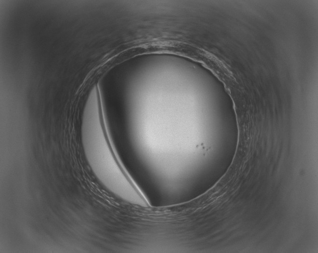 X0000084541160200702230901