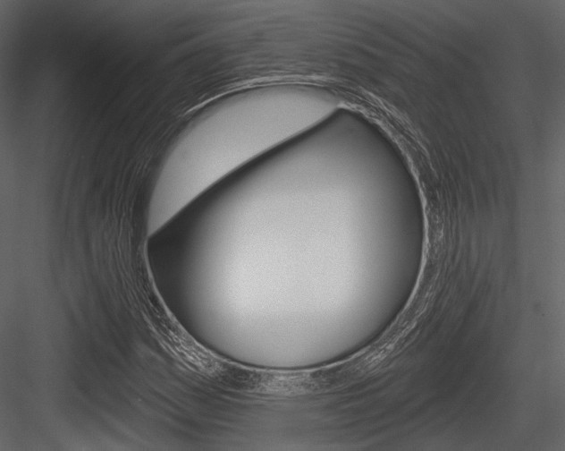 X0000084541161200702230901
