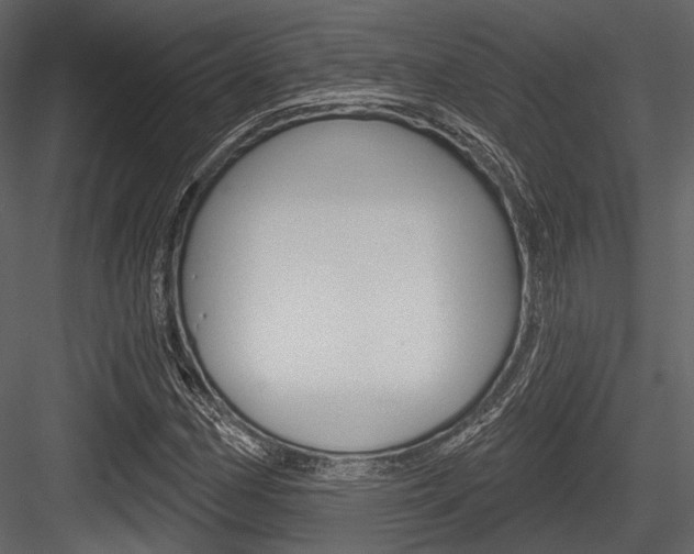 X0000084541162200702230901