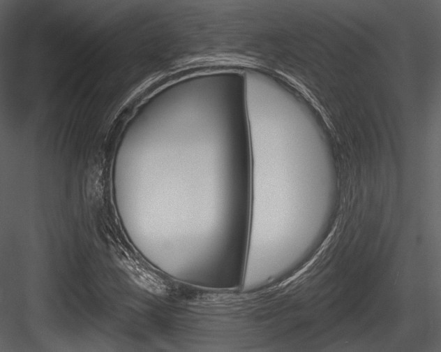 X0000084541163200702230901