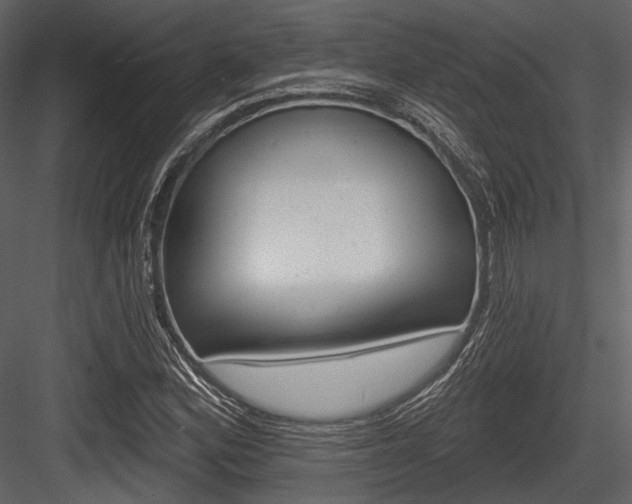 X0000084541164200702230901